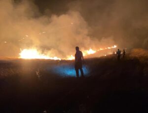 Şanlıurfa’da orman yangını