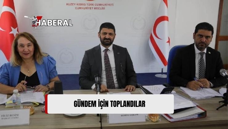 Meclis, İdari, Kamu ve Sağlık İşleri Komitesi Gündemindeki Yasaları Ele Aldı