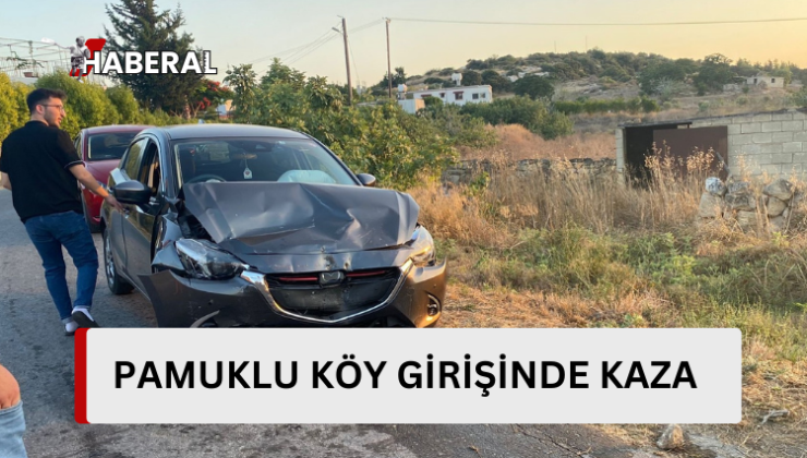 Pamuklu Köy girişinde kaza…