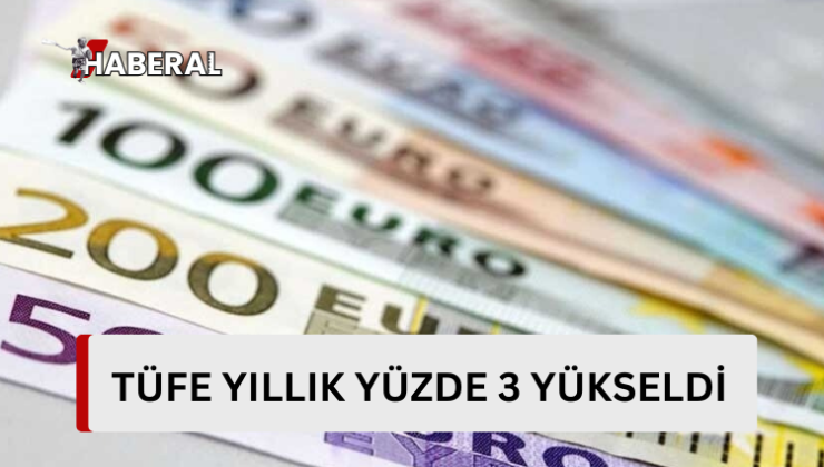 Mayıs ayında TÜFE yıllık yüzde 3 yükseldi…