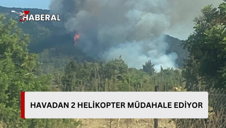 Başbakan Üstel yangın bölgesine gittİ…