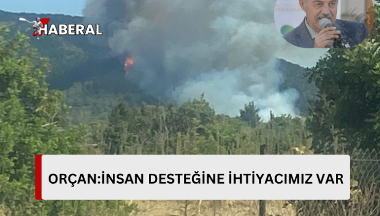 Tatlısu Belediye Başkanı Orçan yangına müdahale için yardım çağrısı yaptı…