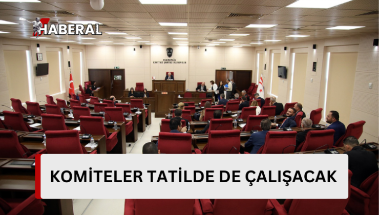 Mecliste ivedilik tezkereleri onaylandı…