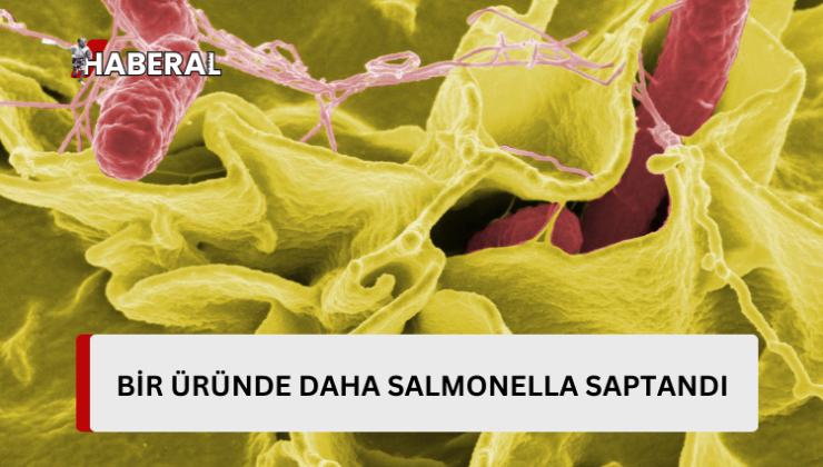 Güney’de üretilen bir üründe daha salmonella saptandı…