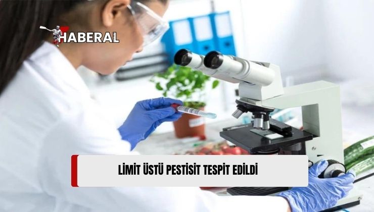 Haftalık Gıda Denetim Sonuçları: Sivri Biber ve Domateste Limit Üstü Pestisit Tespit Edildi