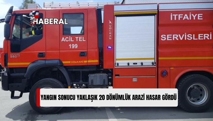 Haspolat’taki Yangında 20 Dönümlük Arazi İçerisindeki Ağaçlar Zarar Gördü