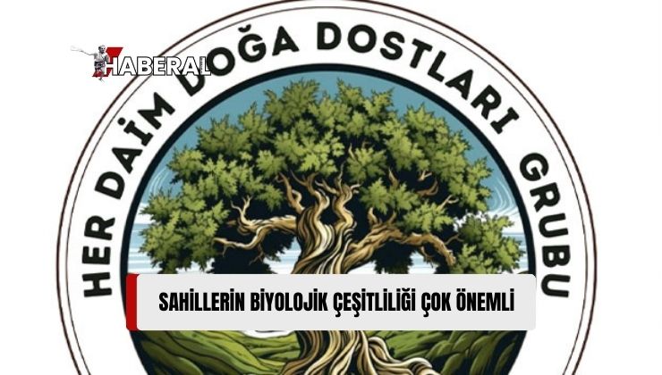 Her Daim Doğa Dostları, Sahilleri ve Deniz Kaplumbağalarının Yumurtlama Alanlarını Gözlemledi