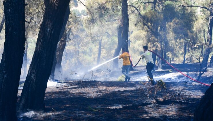 İzmir ve Balıkesir’deki orman yangınları kontrol altına alındı