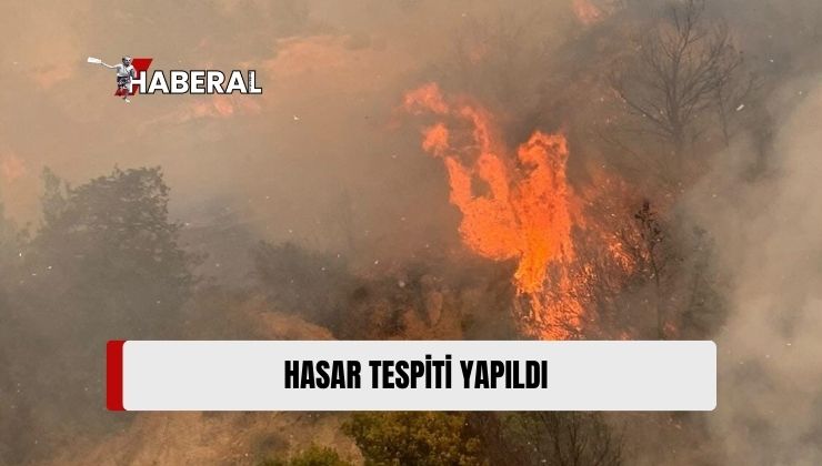 Altınova-Ağıllar Köyleri Arasında Tepelik Arazideki Yangında Hasar Tespiti Yapıldı