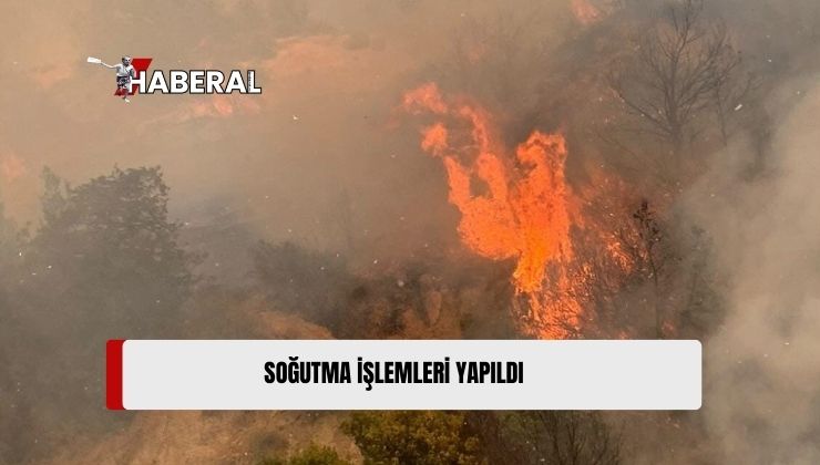 Ağıllar Köyü’nde Gece Yarısı Yeniden Alevlenen Yangın Kontrol Altına Alındı, Soğutma Çalışmaları Yapıldı