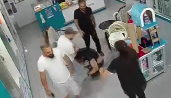 Mama parası veteriner hekime kabusu yaşattı! Burnu kırıldı, dudağı patladı