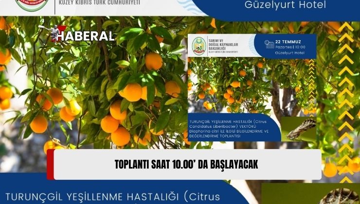 Güzelyurtt’a Yeşillenme Hastalığıyla İlgili Bilgilendirme Toplantısı Düzenleniyor