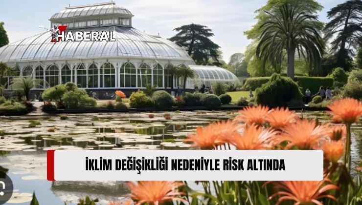 İngiltere’deki Botanik Bahçesi Kew Gardens’ın Yarısı İklim Değişikliği Nedeniyle Risk Altında