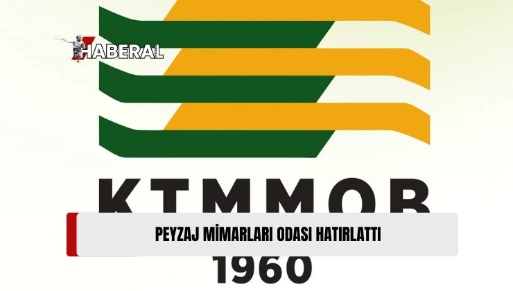 Peyzaj Mimarları Odası Hatırlattı: “Bazı Değişikliklerle Yaşanılan Alanlar Daha Kullanılabilir Hale Getirilebilir”