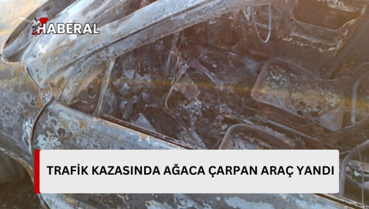 Korkuteli’ndeki trafik kazasında ağaca çarpan araç yandı…