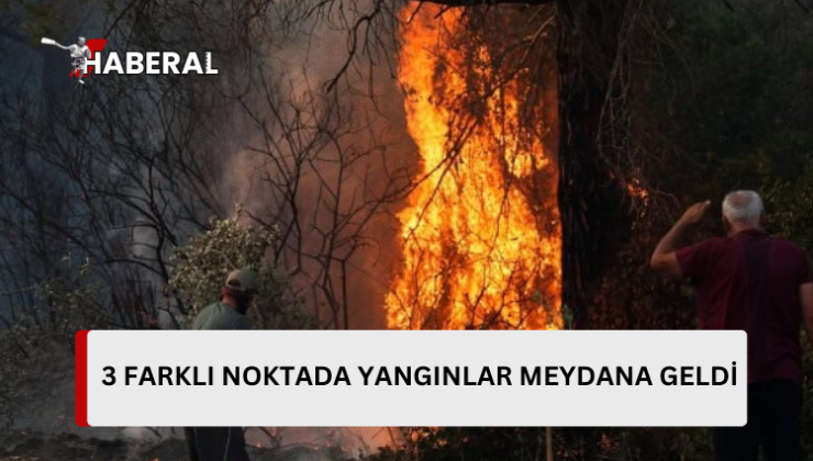 Ülkenin 3 farklı bölgesinde yangınlar meydana geldi…