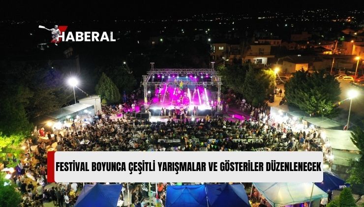 Dikmen’de 11 Meşale Festivali’nde Bu Gece Gala Gecesi Yapılacak