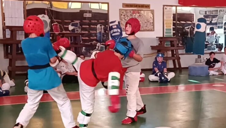 Sinan Erdem Kupası Taekwondo Şampiyonası