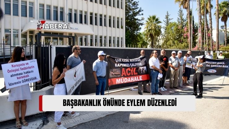 Çevre Platformu Çam Kese Böceğine Karşı Mücadele Verilmediği Gerekçesiyle Eylem Düzenledi