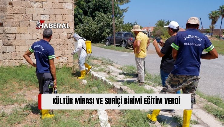 Kültür Mirası ve Suriçi Birimi, Tarihi Yapılarda Ot Temizliği Konusunda Eğitim Verdi