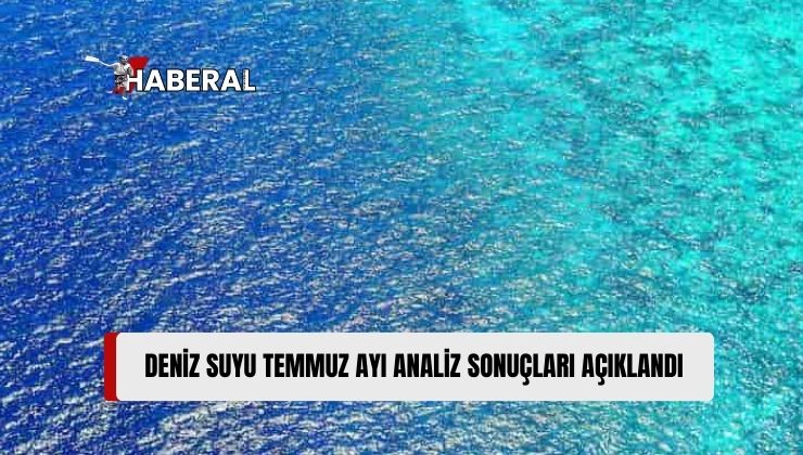 Başbakan Yardımcılığı, Temmuz Ayı Sonuçlarını Açıkladı