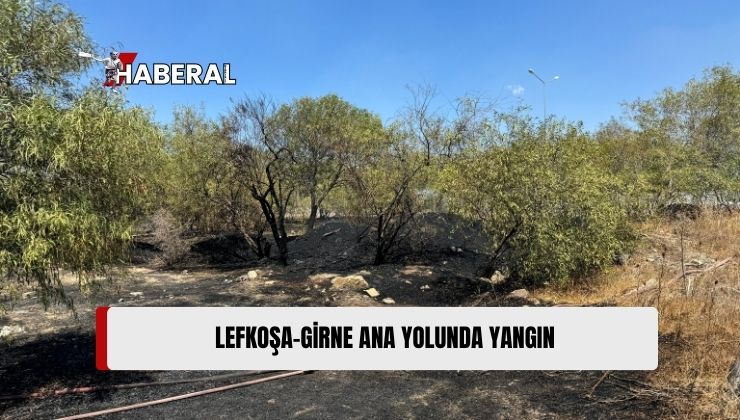 Lefkoşa-Girne Ana Yolunda Çıkan Yangında Ağaçlar Zarar Gördü