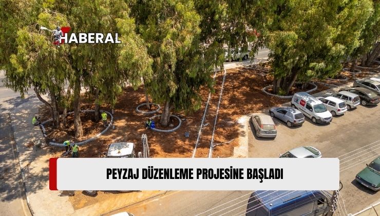 Kaliland Bölgesindeki Peyzaj Düzenleme Projesi Başladı