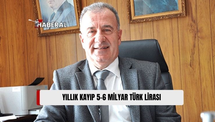 TDP MYK Üyesi Yaylalı: “Kayıt Dışılık Teşvik Ediliyor”