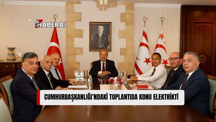 Cumhurbaşkanlığı’nda Elektrik Konusuyla İlgili Toplantı Yapıldı