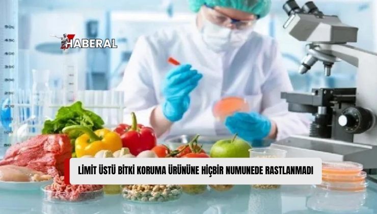 Bu Hafta Analiz Edilen İthal ve Yerli Ürünlerin Hepsi Temiz Çıktı