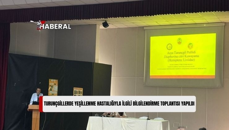 Turunçgillerde Yeşillenme Hastalığıyla İlgili Bilgilendirme Toplantısı Yapıldı