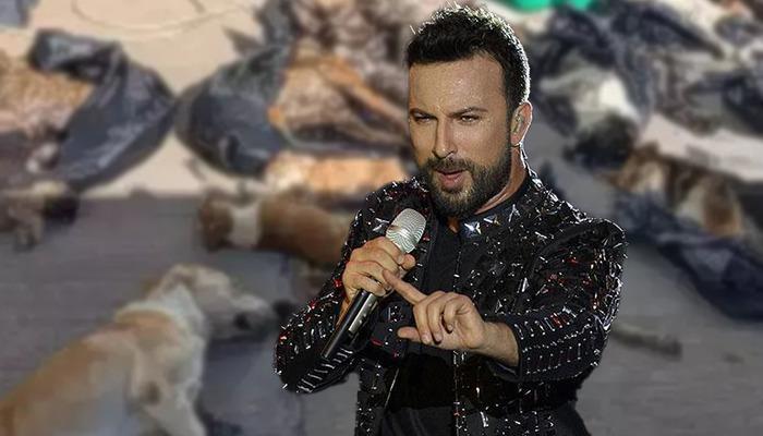 Tarkan’dan Gebze’deki hayvan katliamına sert tepki: “Vicdanlarınıza yazıklar olsun!”