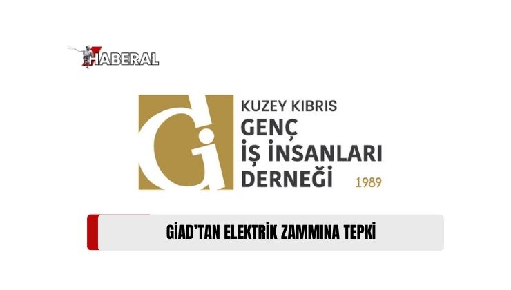 Kuzey Kıbrıs Genç İş İnsanları Derneği (GİAD), Elektrik Zammına Tepki Gösterdi