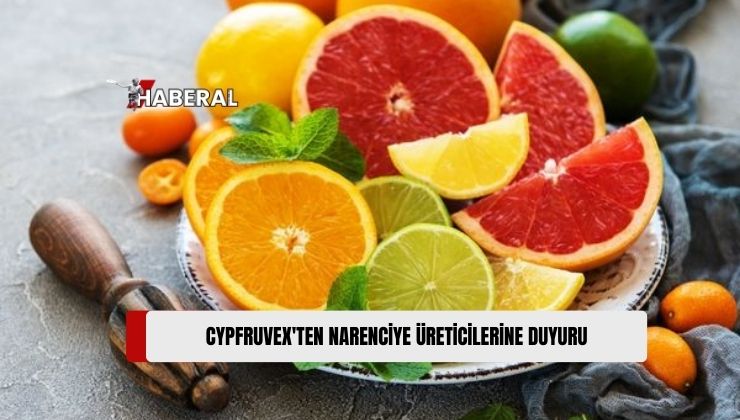 Üretici Sıra Kayıtları Yarın Başlıyor