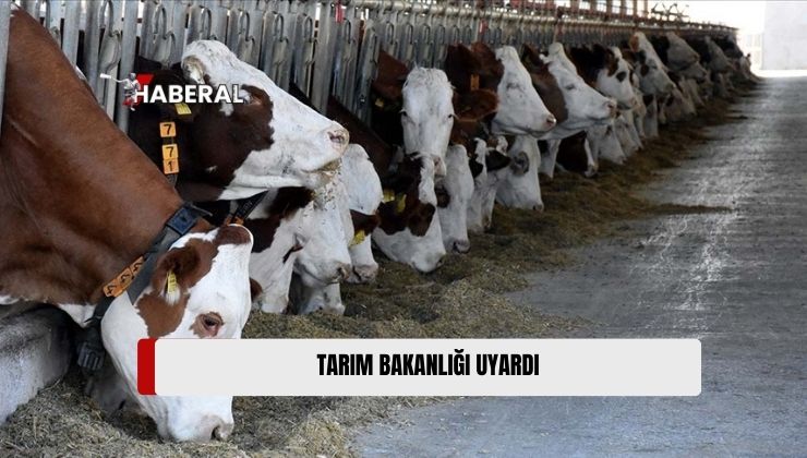 Tarım Bakanlığı, Hayvan Beslemesinde Küfe Dikkat Edilmesi Gerektiğini Hatırlattı