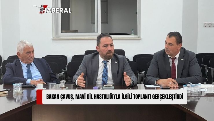 Tarım ve Doğal Kaynaklar Bakanlığı, Mavi Dil Hastalığına Karşı Alınacak Önlemleri Değerlendirmek ve Farkındalık Oluşturmak Amacıyla Bilgilendirme Toplantısı Gerçekleştirdi