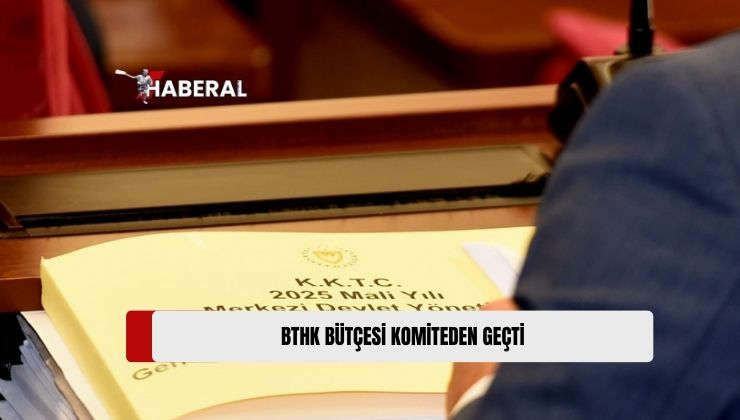 Komite Bugün Ekonomi ve Enerji Bakanlığı ile Bakanlığa Bağlı Kurum ve Kuruluşların Bütçelerini Ele Alacak