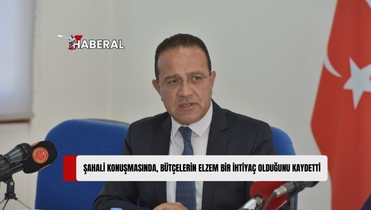 Şahali: “Bütçe, 2025 Yılının Açıkla Tamamlanacağı Öngörüsünde”