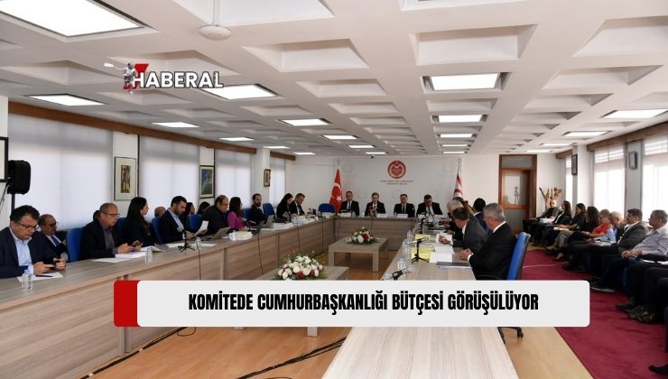 Cumhuriyet Meclisi Ekonomi, Maliye, Bütçe ve Plan Komitesi’nde 2025 yılı Cumhurbaşkanlığı Bütçesi Görüşülüyor