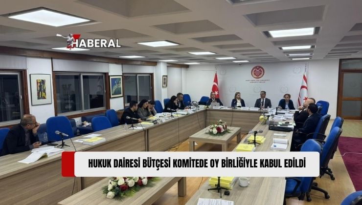 2025 Mali Yılı Merkezi Devlet Yönetimi Bütçe Yasa Tasarısı’nda 307 Milyon 435 Bin TL’lik Hukuk Dairesi (Başsavcılık) Bütçesi, Cumhuriyet Meclisi Ekonomi, Maliye, Bütçe ve Plan Komitesi’nde Oy Birliğiyle Kabul Edildi