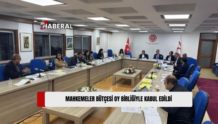 2025 Mali Yılı Merkezi Devlet Yönetimi Bütçe Yasa Tasarısı’nda Mahkemeler Bütçesi 29 milyon TL’lik Artışla, 927 Milyon 978 Bin 300 TL Olarak , Cumhuriyet Meclisi Ekonomi, Maliye, Bütçe ve Plan Komitesi’nde Oy Birliğiyle Kabul Edildi