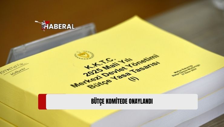 Başbakan Yardımcılığı, Turizm, Kültür, Gençlik ve Çevre Bakanlığı Bütçesi Komitede Onaylandı