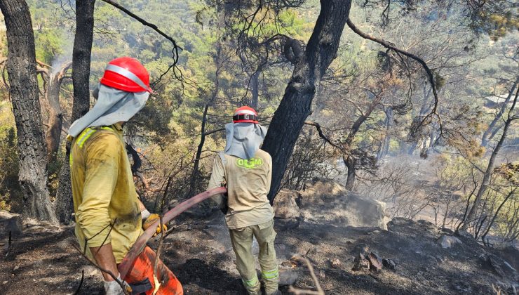 Aydın’ın Germencik ilçesinde çıkan orman yangını kontrol altına alındı