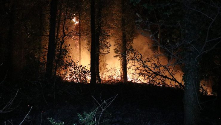 Fransa’daki orman yangınında Paris’ten daha büyük bir alan yok oldu