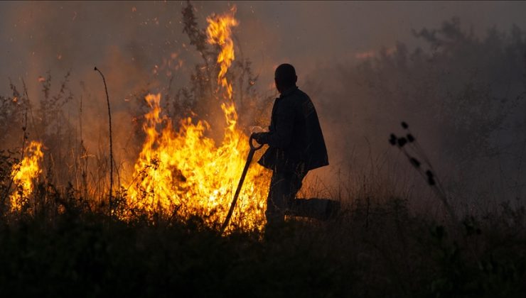Bulgaristan’ın güneyinde 30 bin dönümlük alana yayılan yangınla mücadele sürüyor