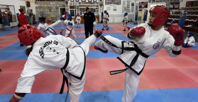 Erdem Orel Taekwondo-Karate-Budo Şampiyonası yapıldı