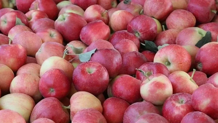 Üç üründe limit üstü bitki koruma ürünü tespit edildi