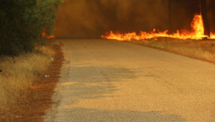 Çanakkale’de orman yangını