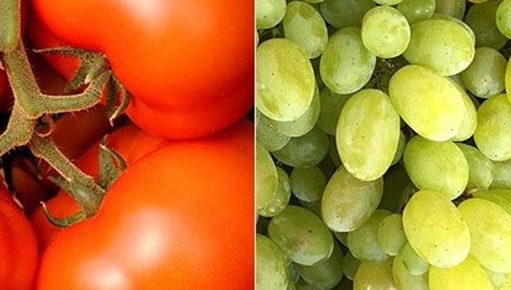 Üç üründe limit üstü kalıntı