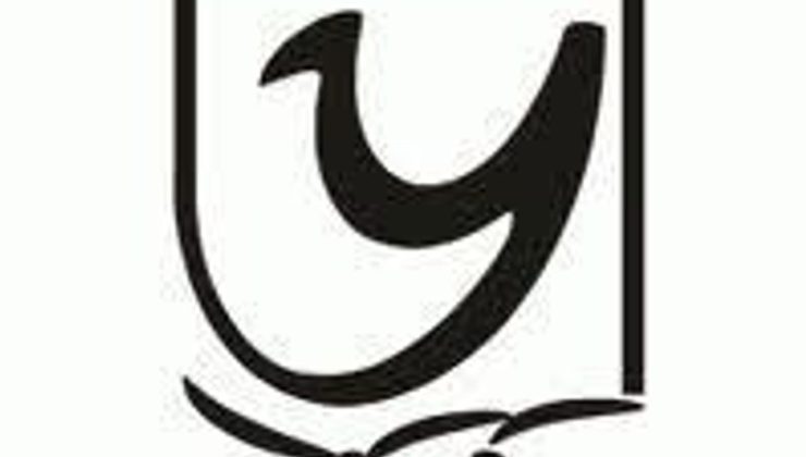 YYK, lisanslı yayın zorunluluğunu vurguladı